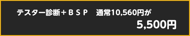 テスター診断+BSP　通常10,560円が5,500円